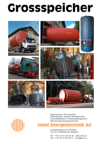 Die Datei Sonderdruck_SWW_Grossspeicher2.pdf herunterladen